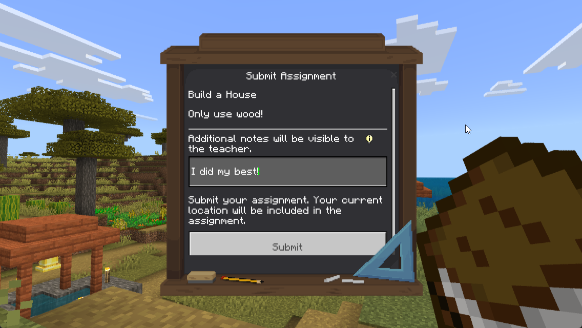 Student assignment view